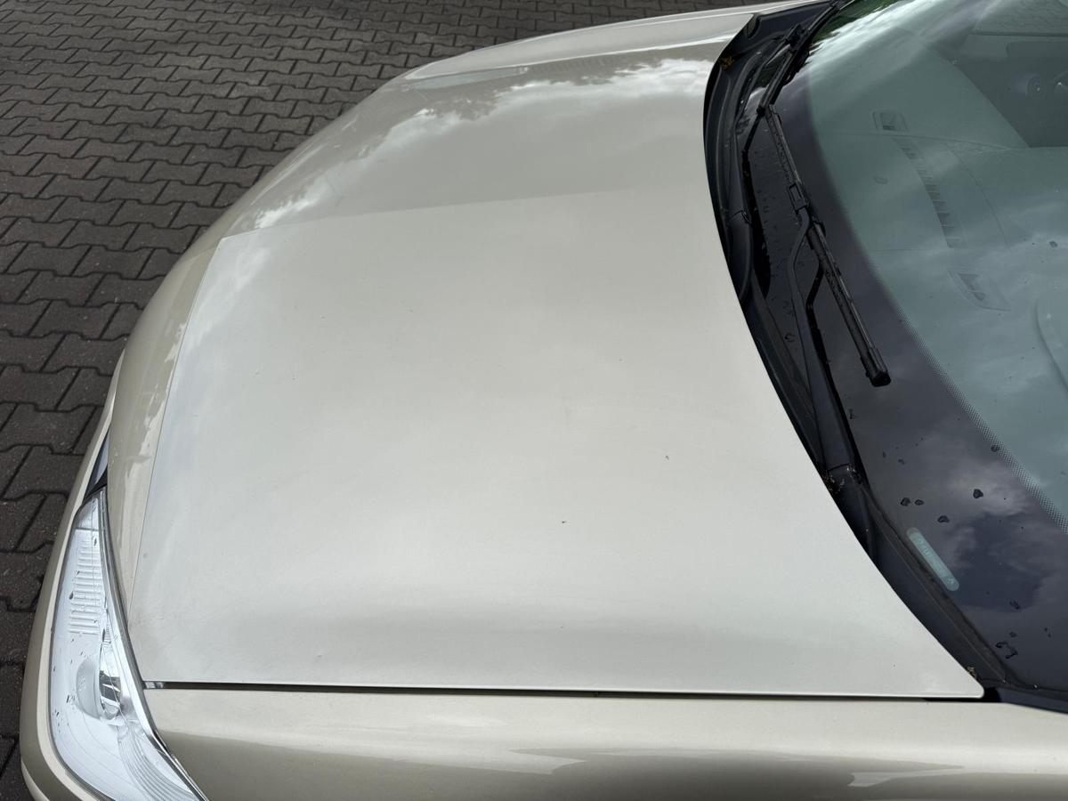 Renault Megane 2 original Motorhaube Dakotabeige BJ08